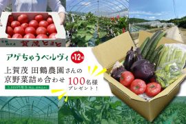 【 アゲちゃうベルヴィ第12弾】 受付終了いたしました。