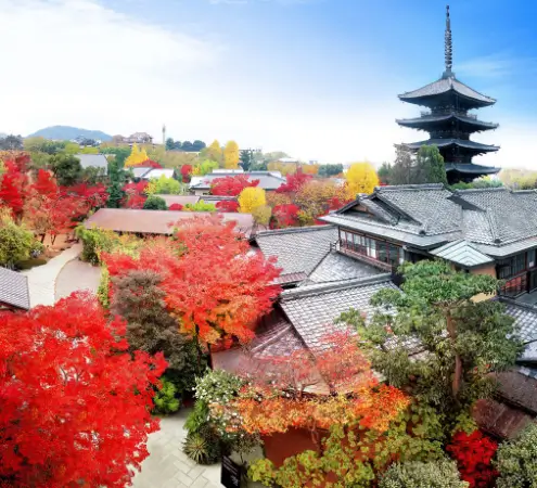 ザ ソウドウ 東山 京都