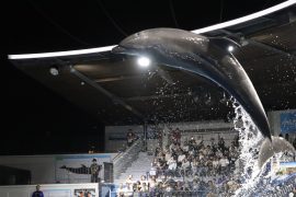 【終了】ベルヴィ秋祭り2025「京都水族館 夜間貸切」ご招待イベント